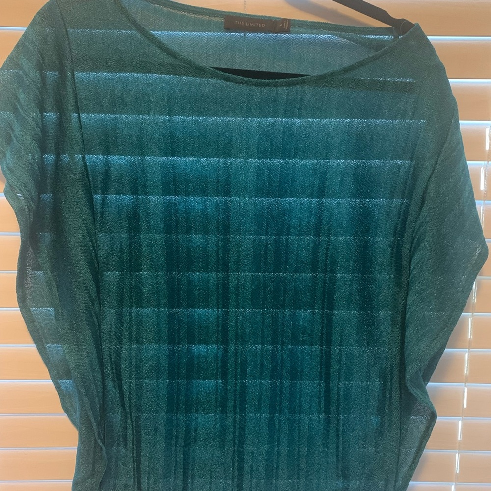 Mesh Turquoise top from The Limited